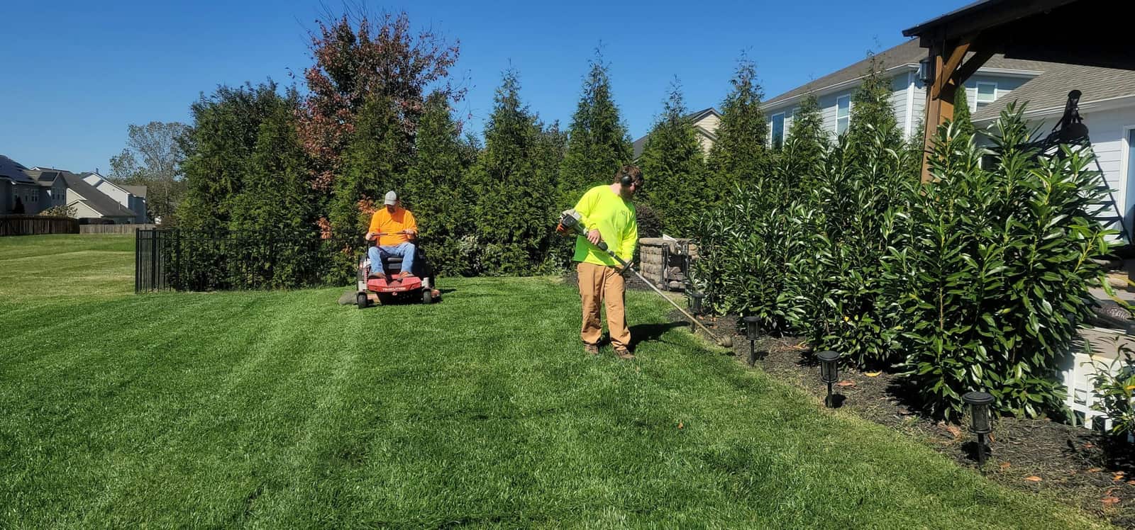 Stump Grinding Solutions team member